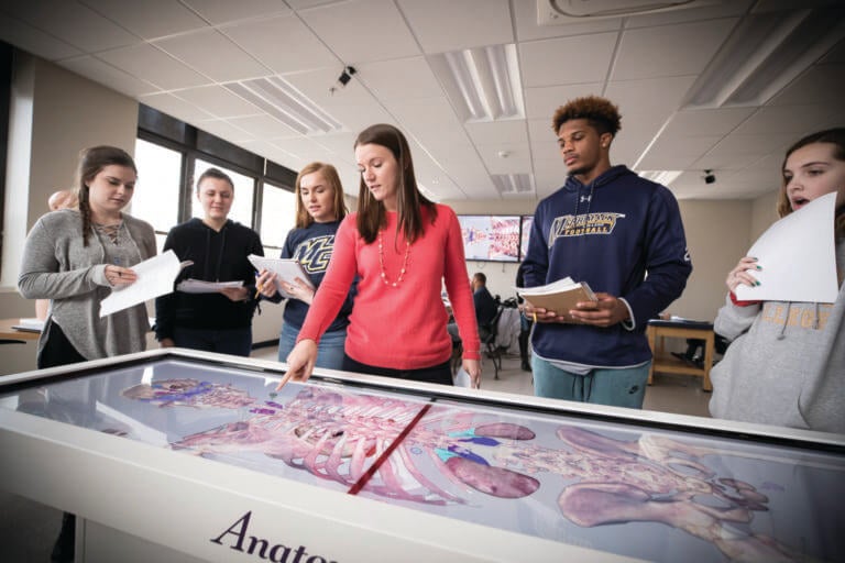 Students and professor learning anatomy displays