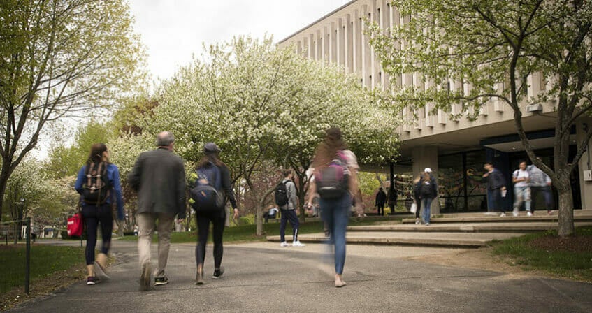 students and faculty walk down path by library