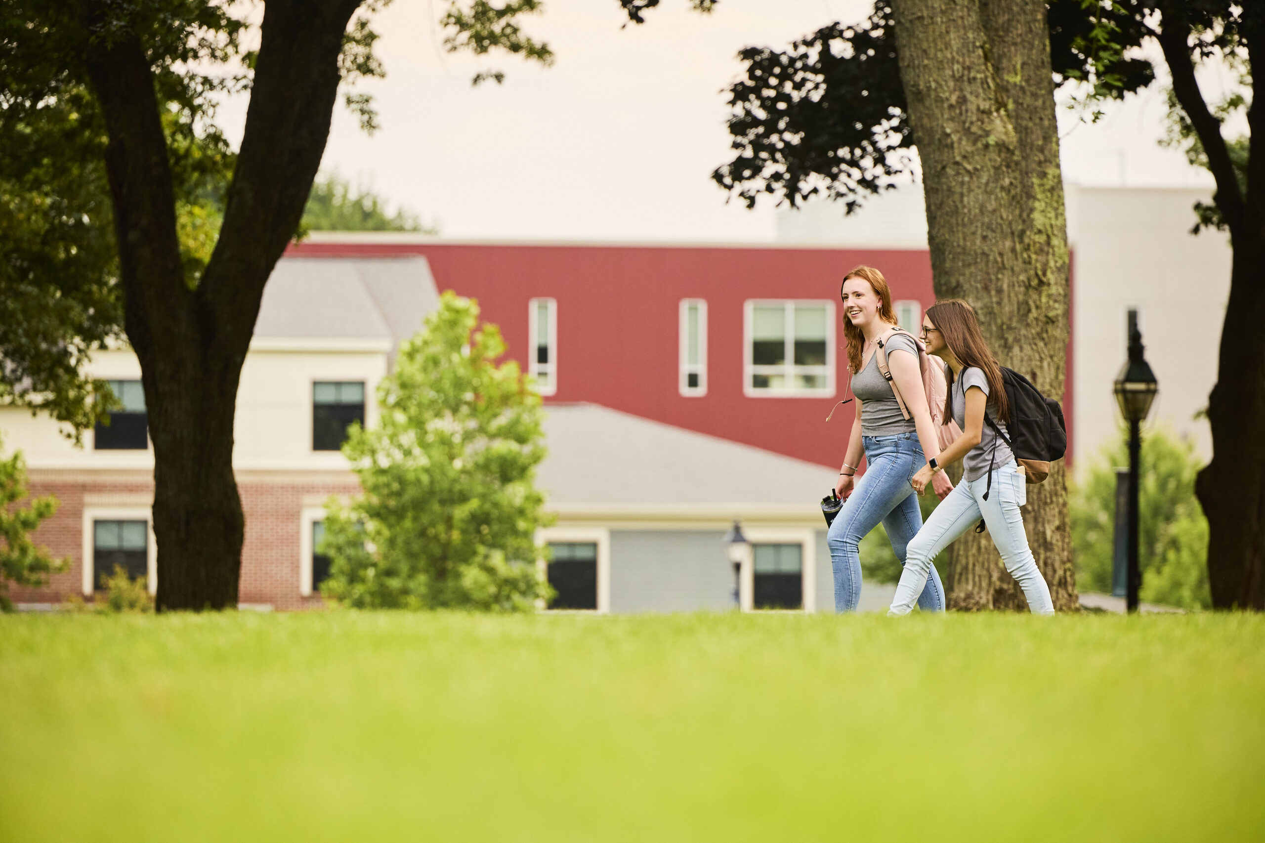 Culture and Society (Concentration)