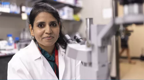 Assistant Professor Leena Bharath receives $434,000 in a grant from the National Institutes of Health.
