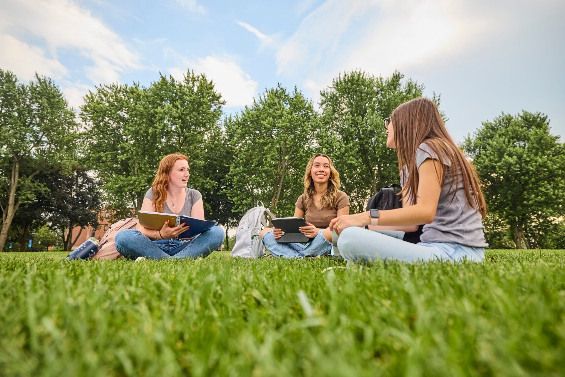 Students sitting in grass studying together