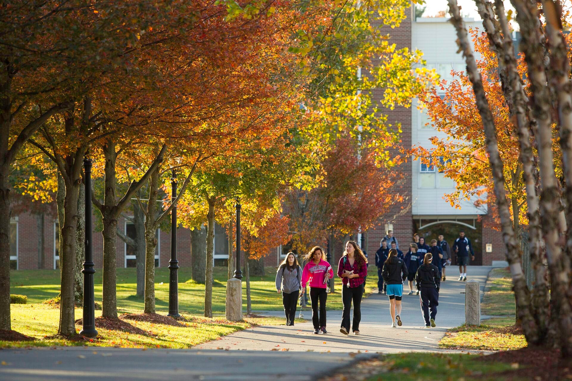 Students walking on campus during fall