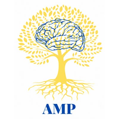 amp_program