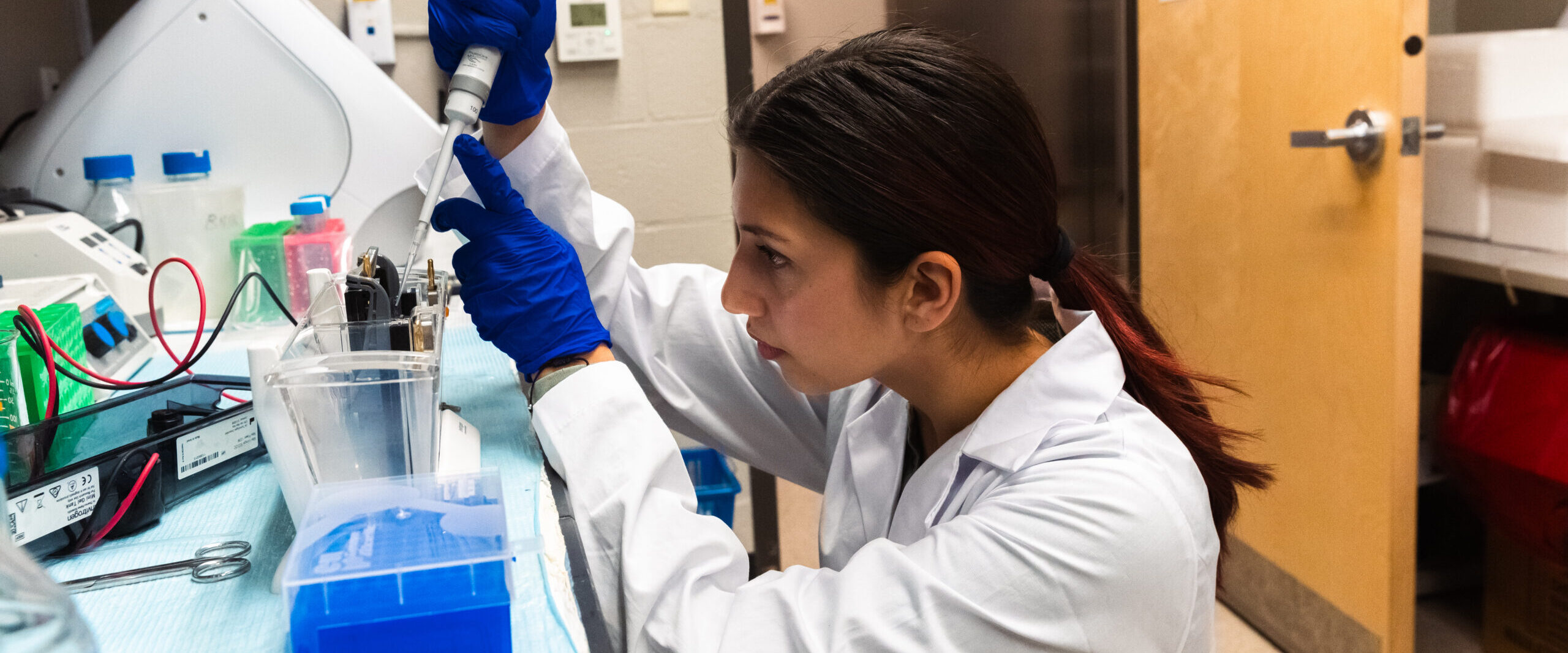 biology student working in lab