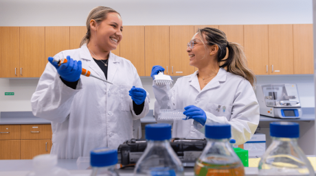 Merrimack students working together in the SIRF