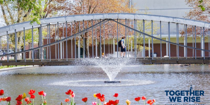 Spring at Merrimack with suspension bridge and tulips desktop wallpaper